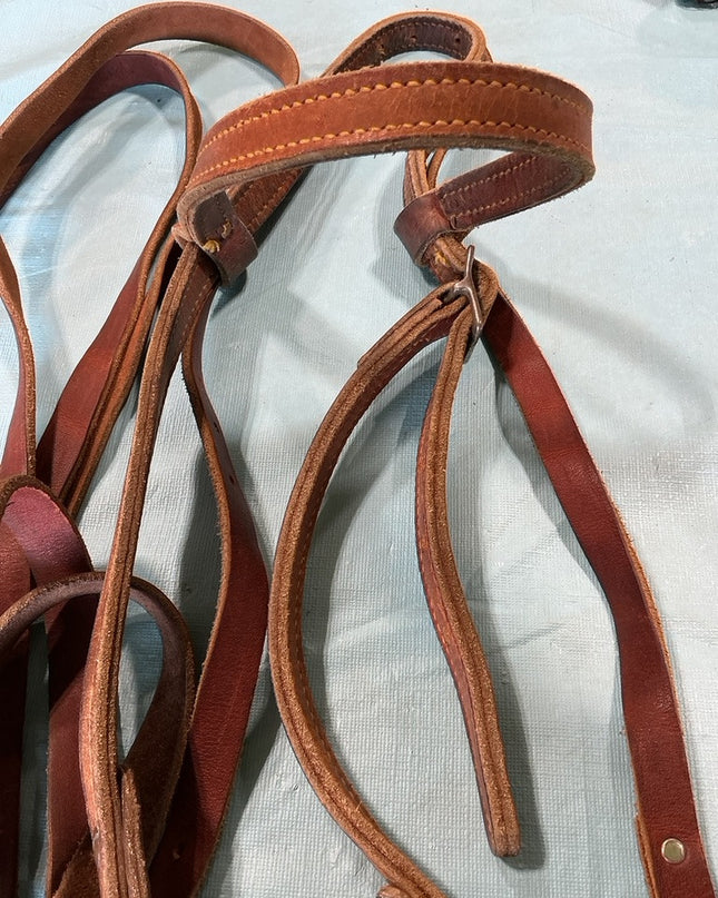 Western Bridle 4" Bit & Reins