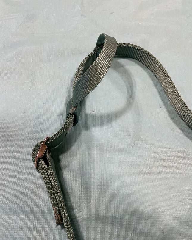 Headstall Western Alliance Equine 1 Ear Quick Change Green Nylon