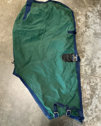 Rainsheet Mini 50" Green/Blue Trim 