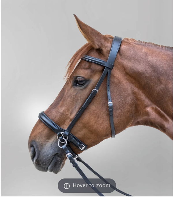 English Bridle & Reins – Waldhausen Bitless, Brown, Pony | New with Tags