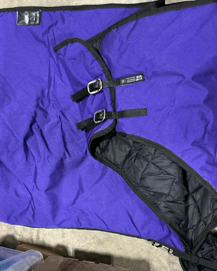 Winter Blanket Glover Equine 76/78 Purple Guess 300G