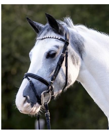 English Bridle Black Pink Bling & Reins MINI / Shetty *NEW*