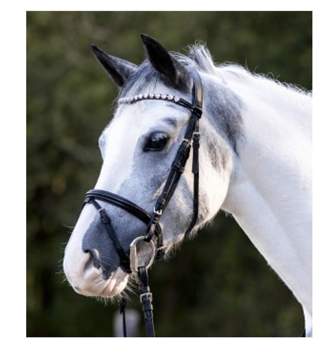 English Bridle Black Pink Bling & Reins MINI / Shetty *NEW*