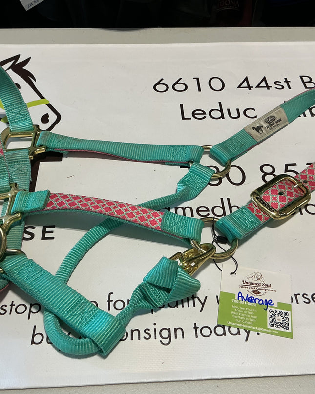 Halter Nylon Average Green/Pink