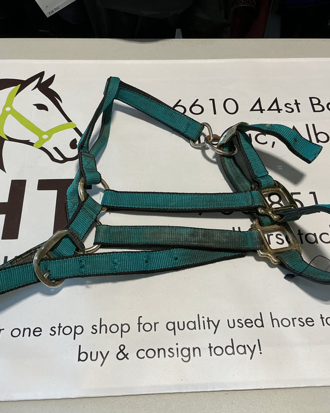 Halter Nylon Green Average