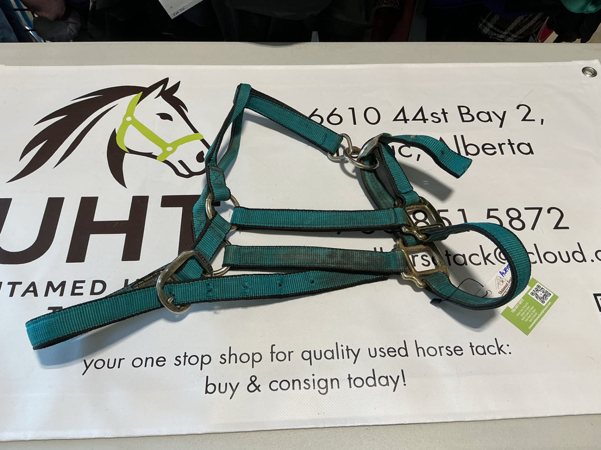 Halter Nylon Green Average