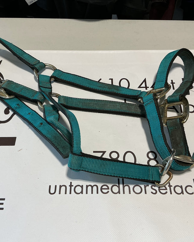 Halter Nylon Green Average