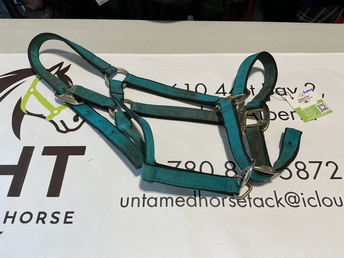 Halter Nylon Green Average