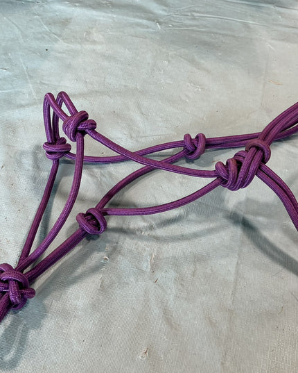 Halter Purple Rope Mini