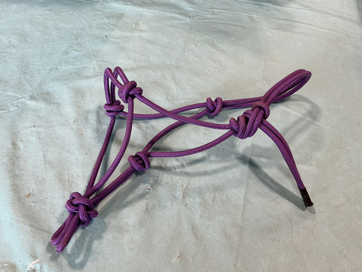 Halter Purple Rope Mini