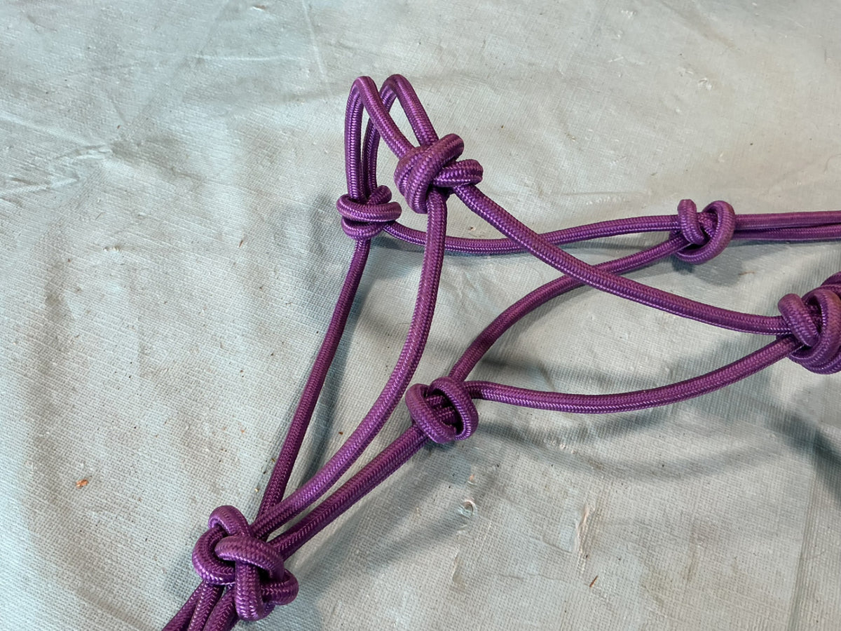 Halter Purple Rope Mini