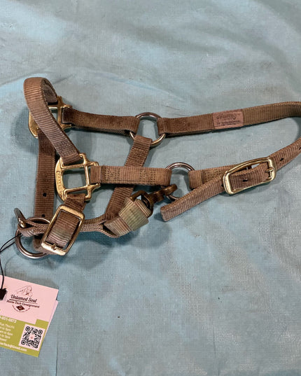 Halter Nylon Suckling 3/4" 100-200Lbs