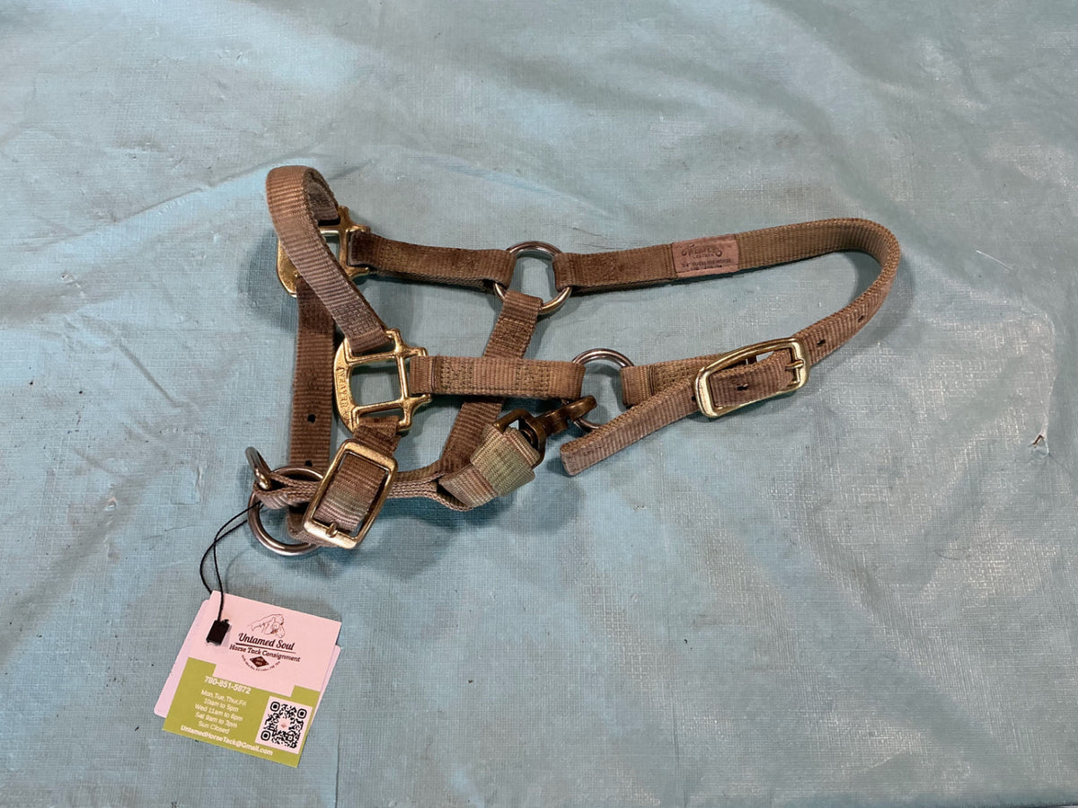Halter Nylon Suckling 3/4" 100-200Lbs