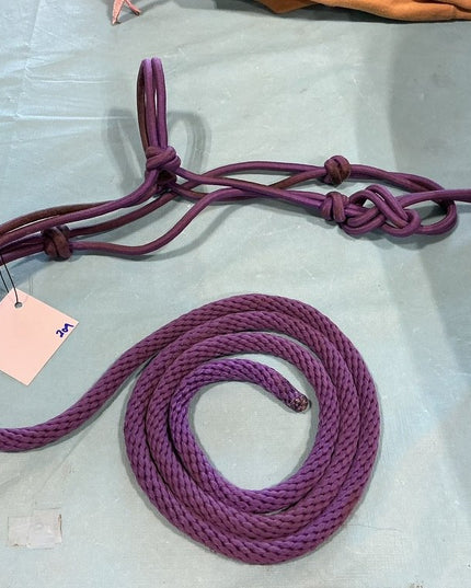 Halter Rope & Lead Purple Pony 