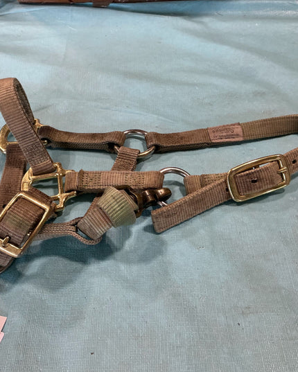 Halter Nylon Suckling 3/4" 100-200Lbs