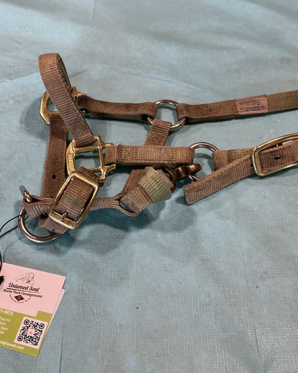 Halter Nylon Suckling 3/4" 100-200Lbs