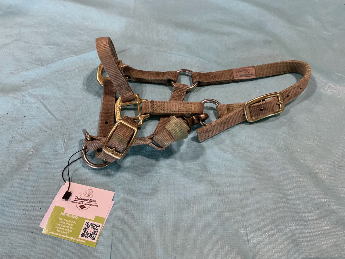 Halter Nylon Suckling 3/4" 100-200Lbs