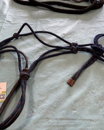 blue rope halter 