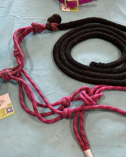 rope halter and lead 