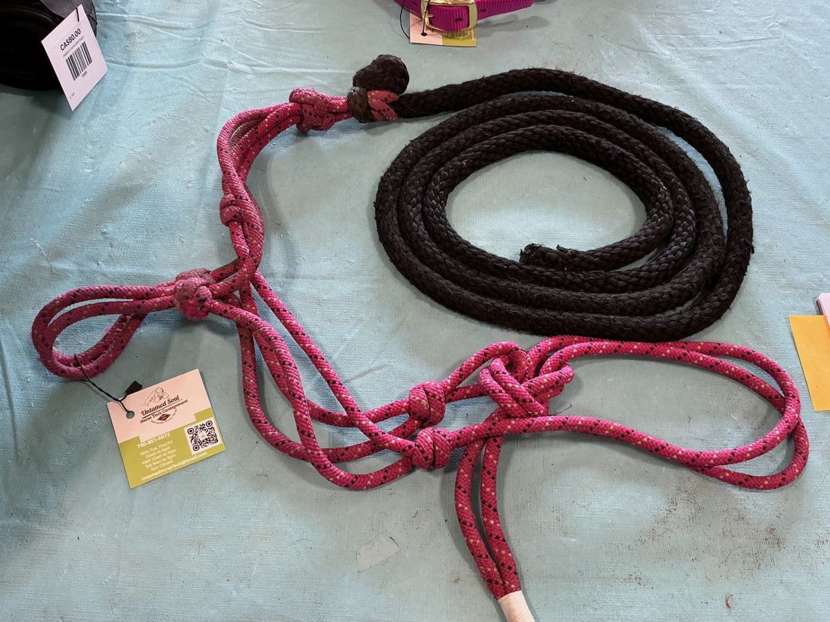 rope halter and lead 