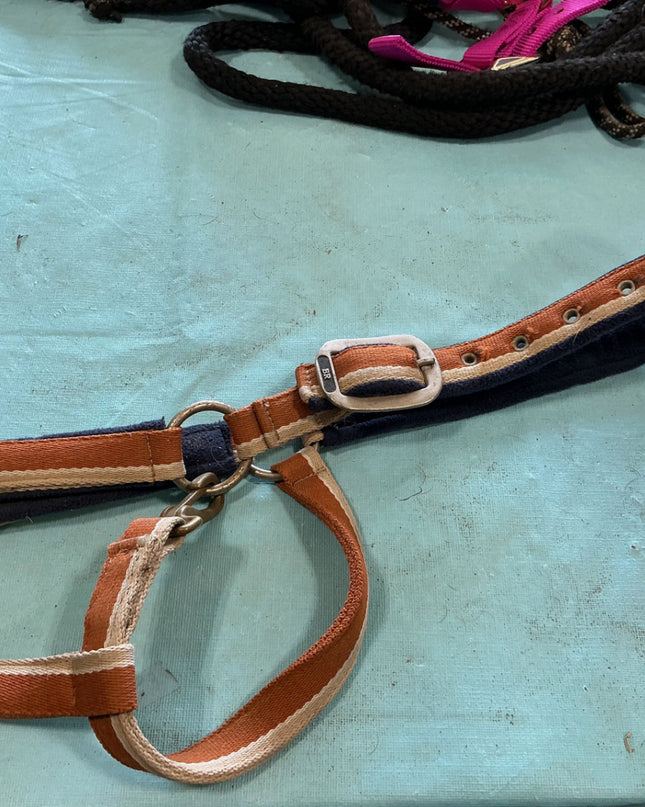 Halter Large orange/blue 