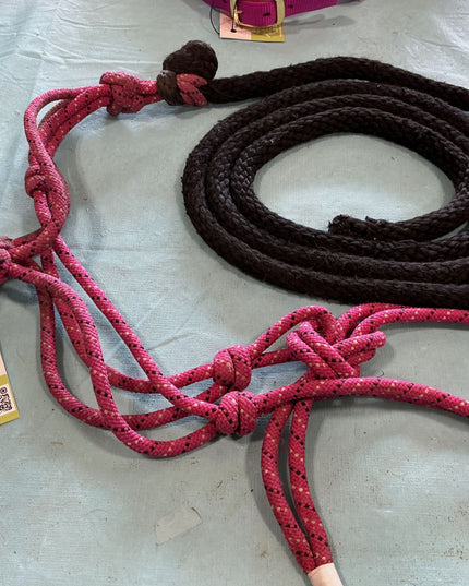 rope halter and lead 