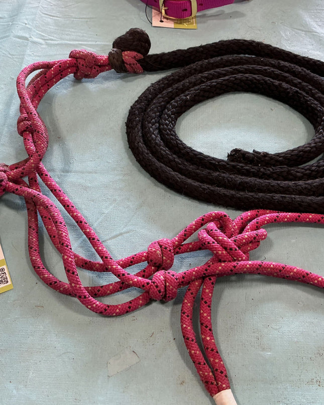 rope halter and lead 