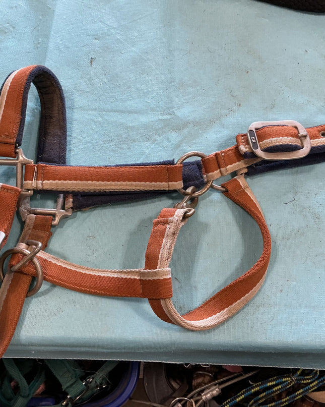 Halter Large orange/blue 