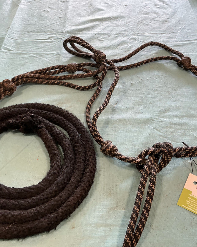 Rope halter and lead 