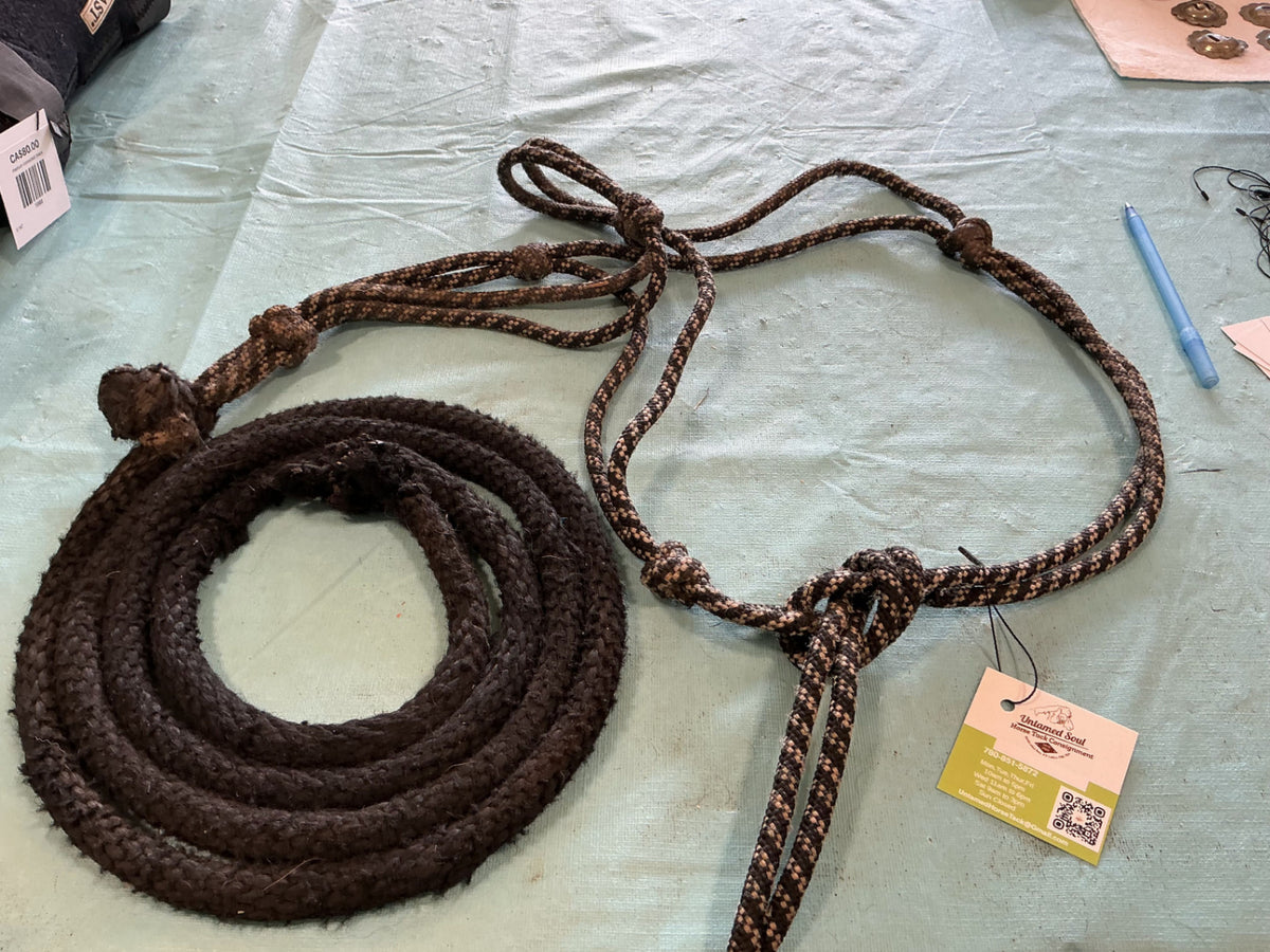 Rope halter and lead 