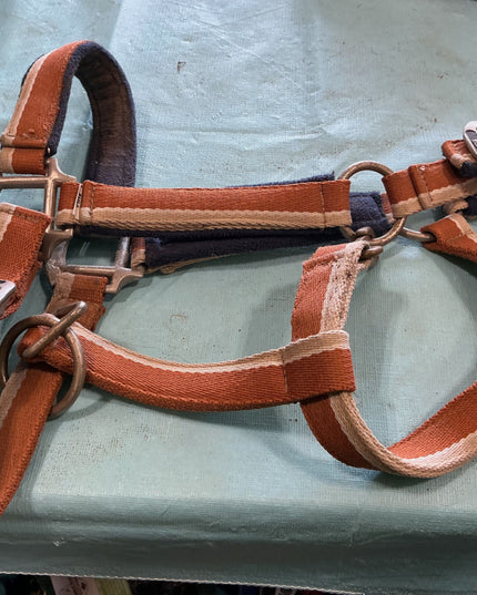 Halter Large orange/blue 