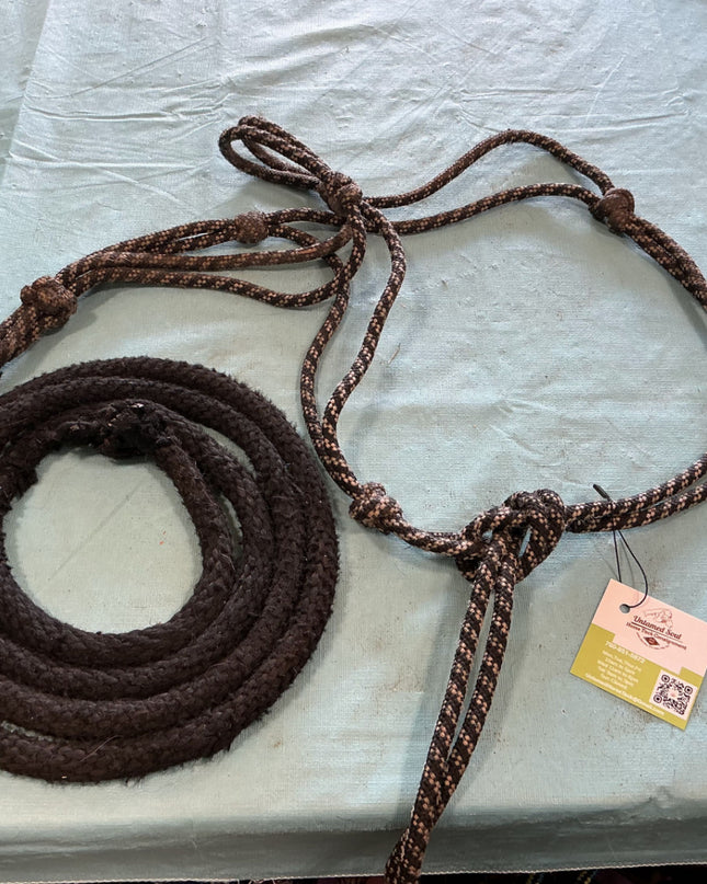 Rope halter and lead 