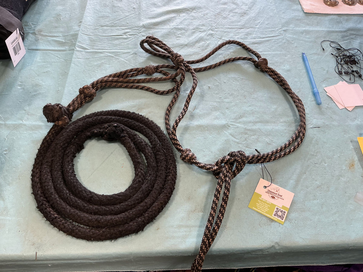 Rope halter and lead 