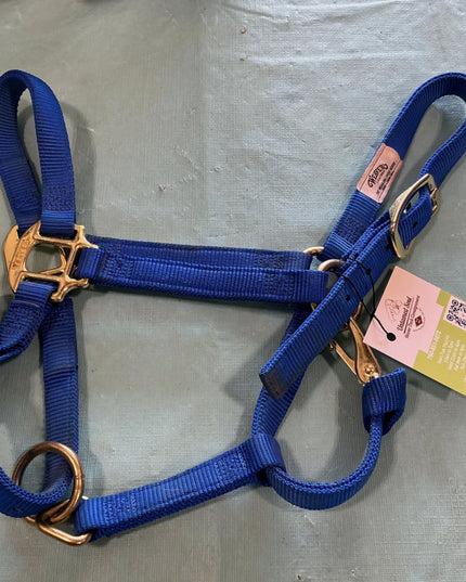Halter Nylon  weanling Blue