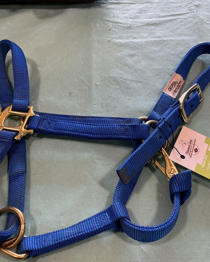 Halter Nylon  weanling Blue