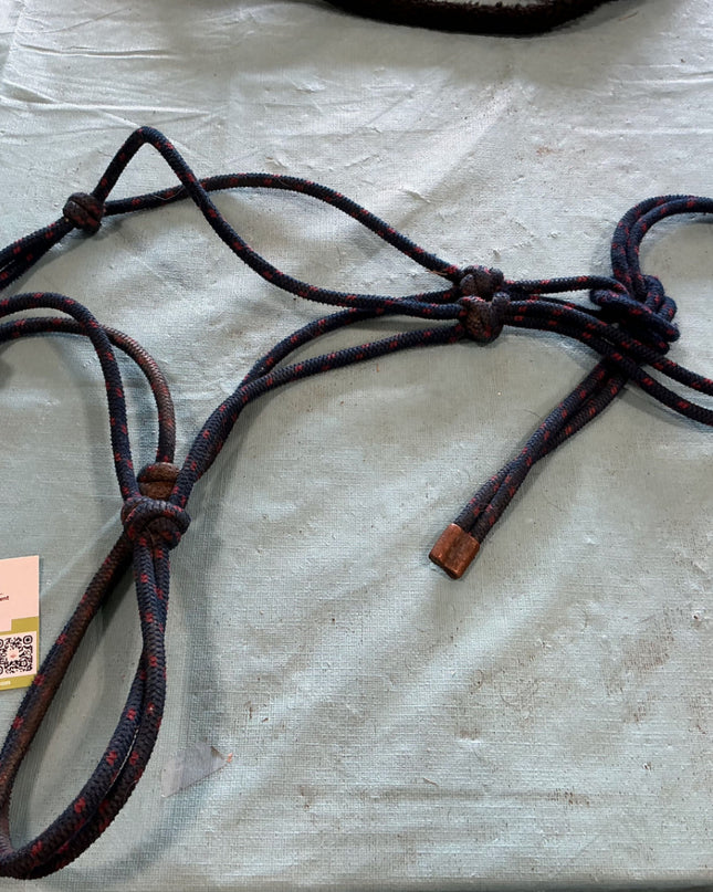 blue rope halter 