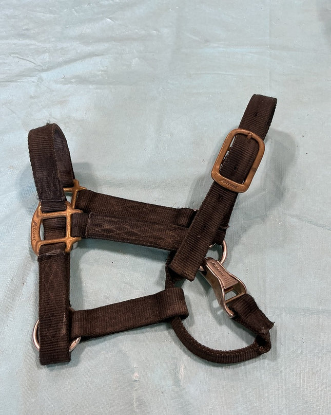 Halter Nylon Black Yearling