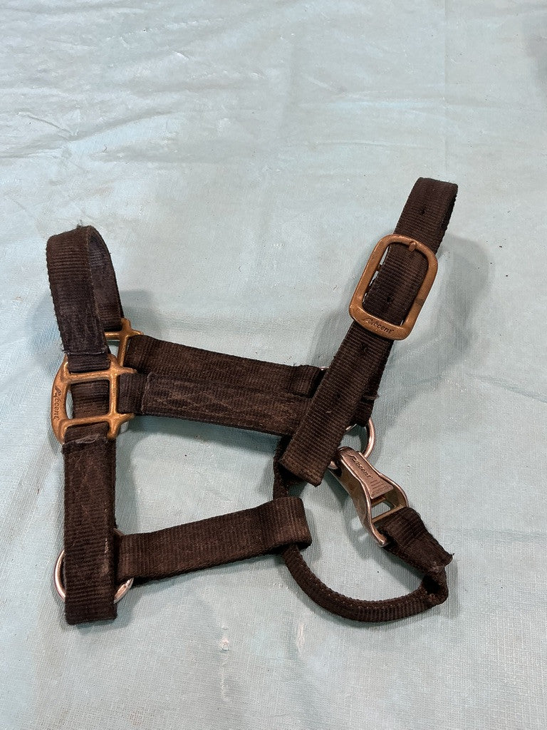 Halter Nylon Black Yearling