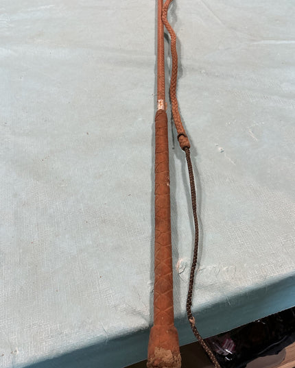 Lunge Whip