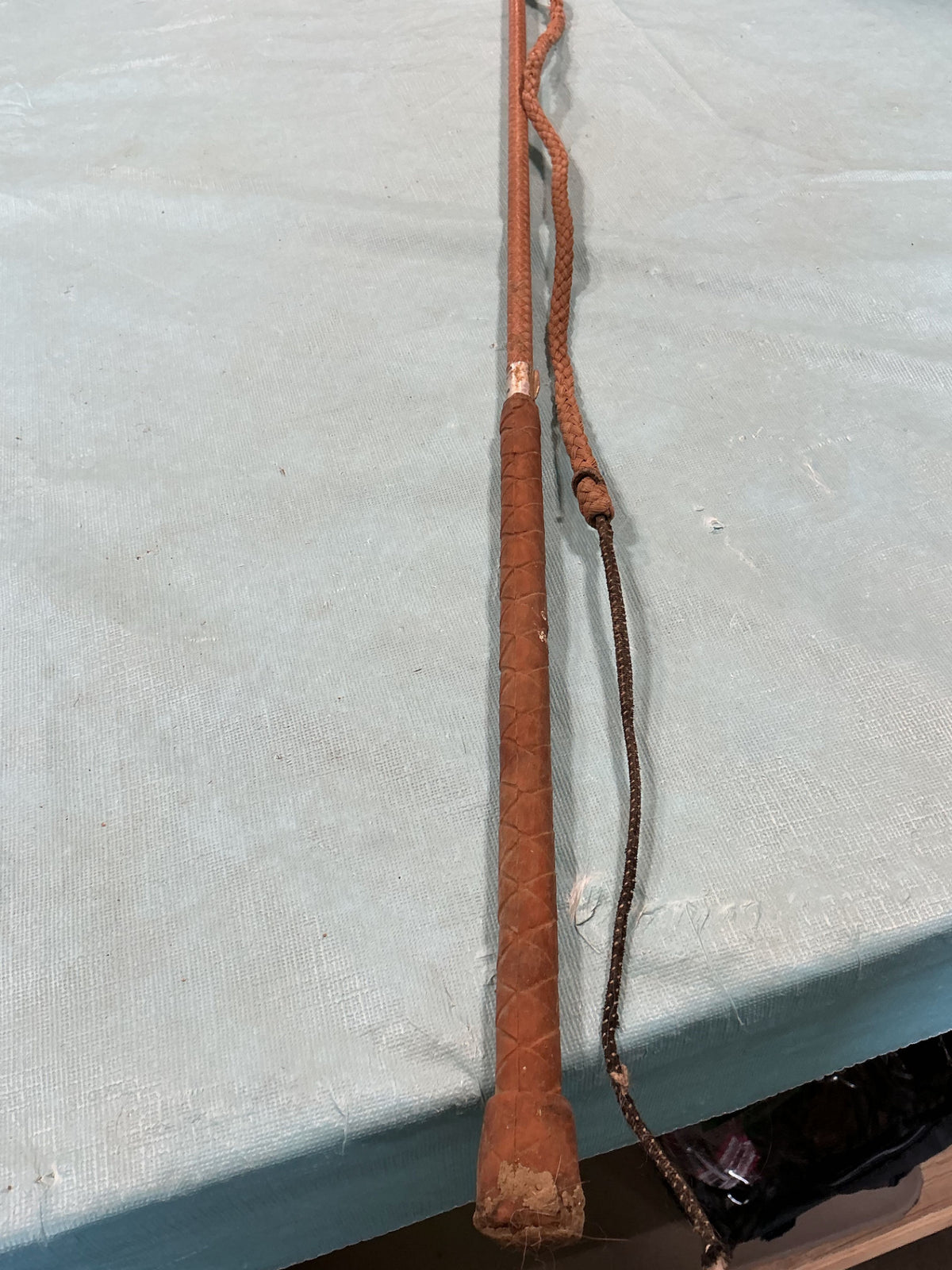 Lunge Whip