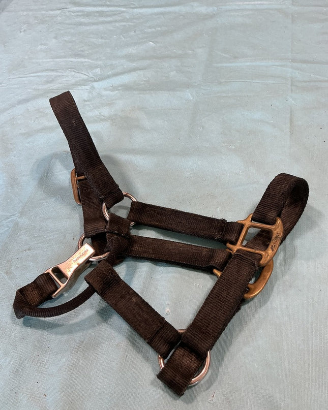 Halter Nylon Black Yearling