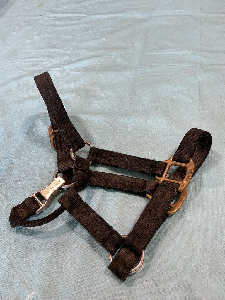 Halter Nylon Black Yearling