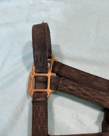 Halter Nylon Black Yearling