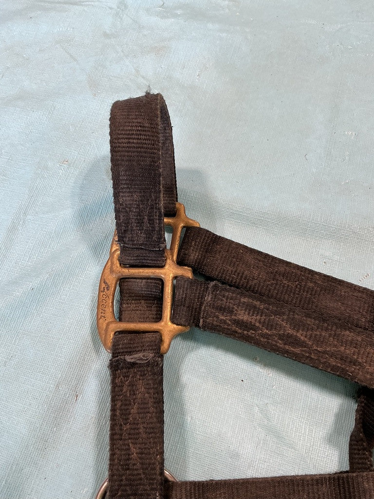Halter Nylon Black Yearling