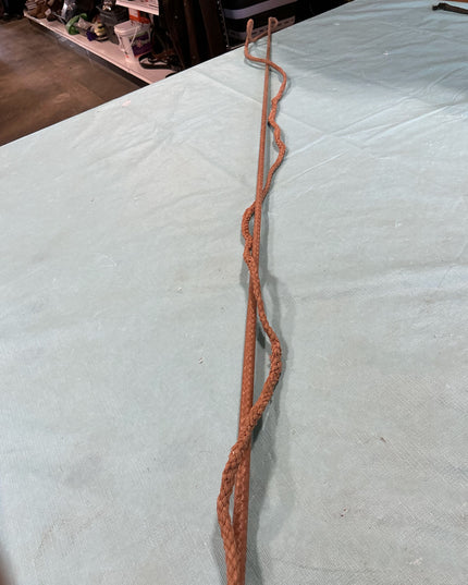 Lunge Whip