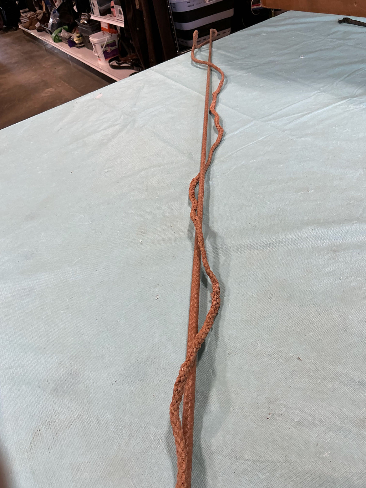 Lunge Whip