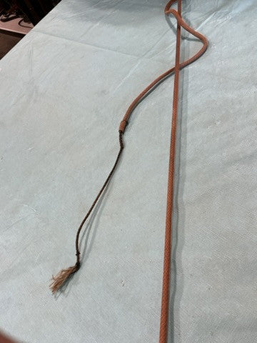 Lunge Whip 