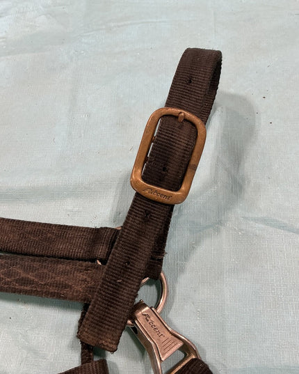 Halter Nylon Black Yearling