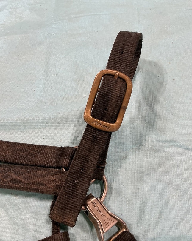 Halter Nylon Black Yearling