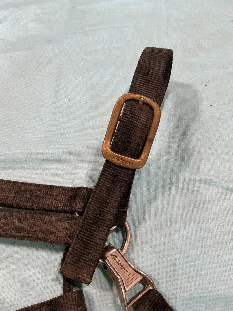 Halter Nylon Black Yearling